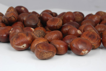 chestnut