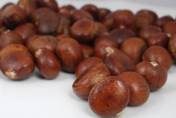 chestnut