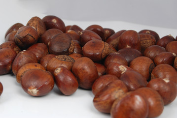 chestnut