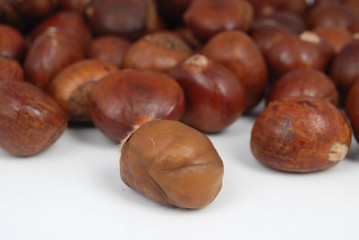 chestnut