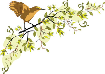 Spring branch with bird