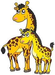 Female and baby giraffes