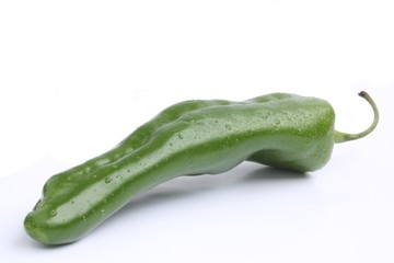 Green bell pepper / 绿菜椒