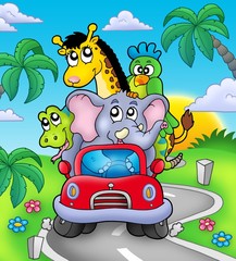 Obraz na płótnie Canvas African animals in car on road