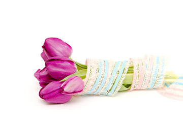 the fresh purple tulips isolated on white