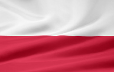 Flagge von Polen - obrazy, fototapety, plakaty