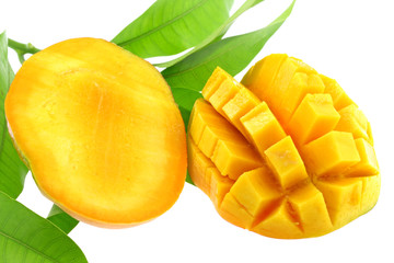mangue 