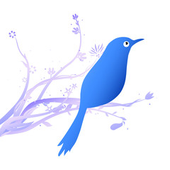 blue bird on flower branch vector