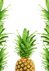 Fototapeta premium Ripe pineapple