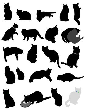 silhouette cats