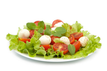 salad with tomatoes and mozzarella isolated