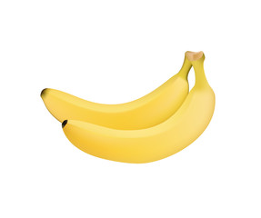 two bananas vector illustration