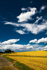 Obraz premium summer in germany