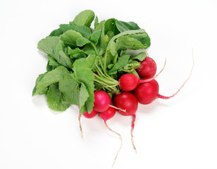 Ravanelli © Studio Gi