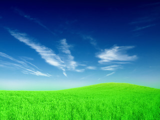 green field
