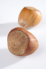 hazelnut on white background