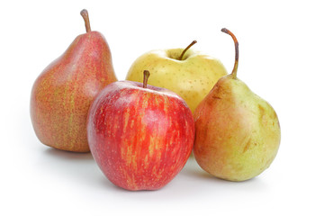 The closeup of various fruits
