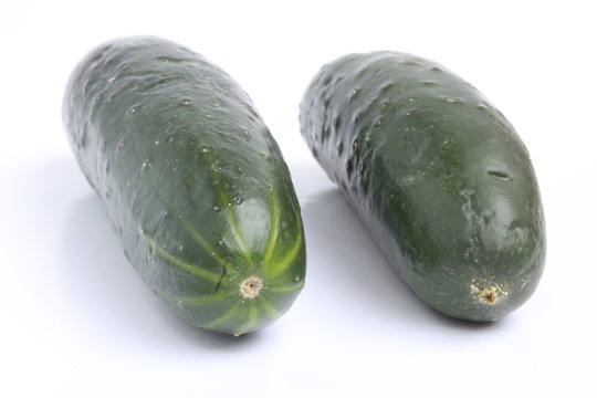 Mini cucumber / 黄瓜