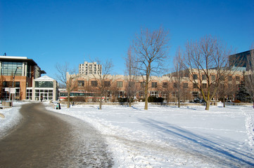 Campus de York University à Toronto au Canada © Alexi Tauzin