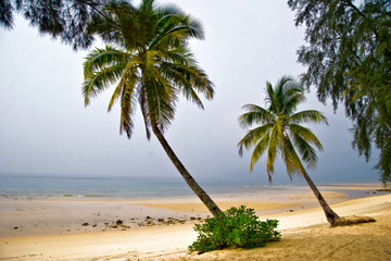 Fototapeta premium Foggy tropical beach. Tioman island. Malaysia