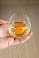 egg