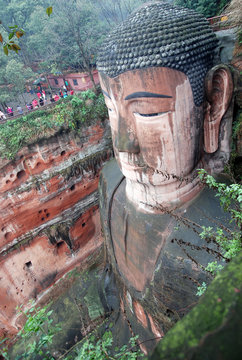 Leshan Giant Buddha in Mt.Emei of china