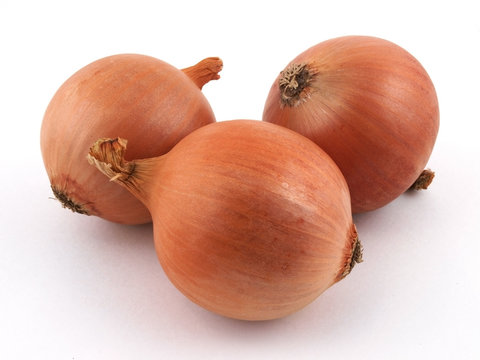 Onion