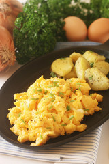 Scrambled Egg