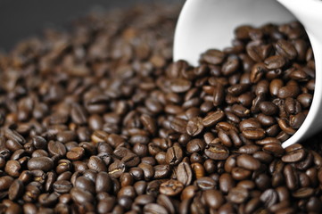 coffee beans and a cup