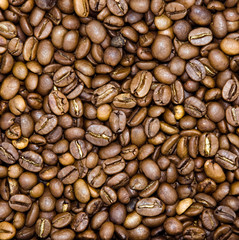 Coffee Bean Background