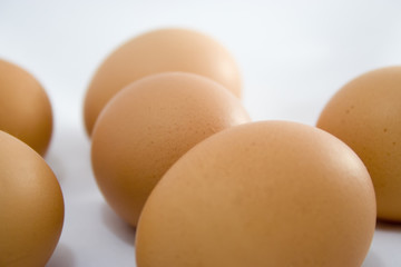 Eggs isolated on the white background