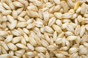 orzo