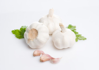 Garlic
