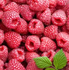 ripe raspberries with leaf