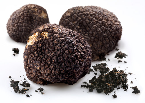 Black mushrooms  truffles with the pieces of soil