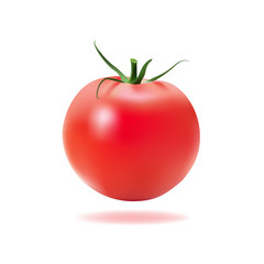 vector illustration of tomato