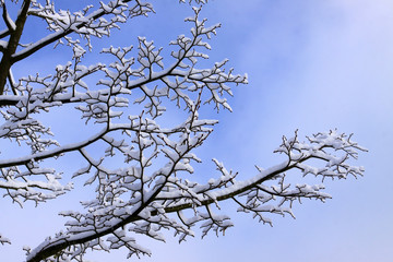 wintermärchen