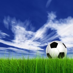 3D black soccer ball,green grass and a blue sky with clouds