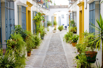 street of Cordoba, Andalusia, Spain