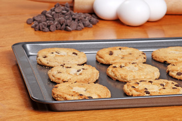 fresh baked cookies on a cookie sheet