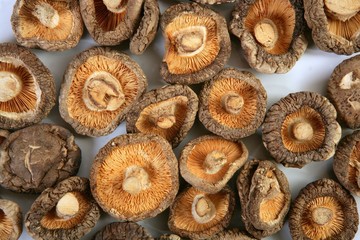 Fototapeta premium Shiitake dired mushroom vegetarian food