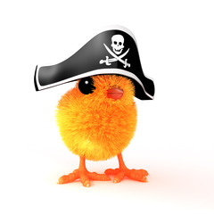 Pirate chick © Steve Young