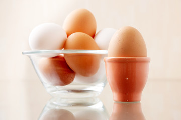 Egg composition