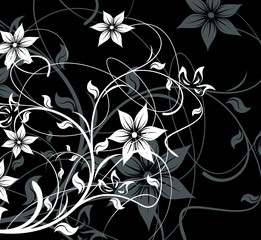 fond floral noir