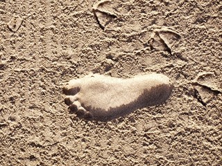 footprint
