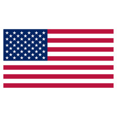 USA flag with official sizes and colors vector