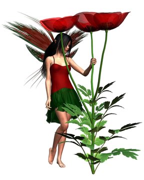 Red Poppy Fairy
