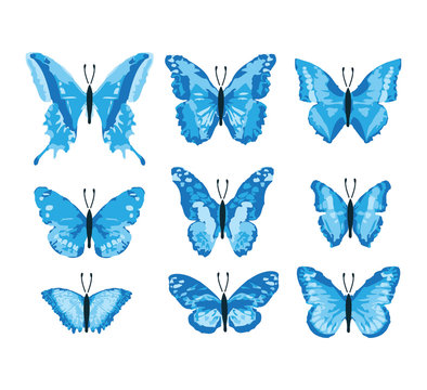 Schmetterlinge / Butterfly blue edition