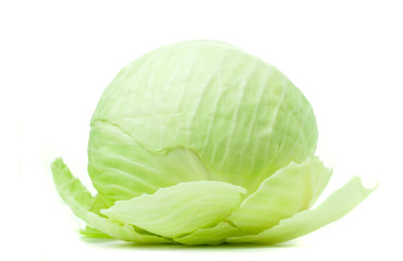 Fototapeta premium Cabbage