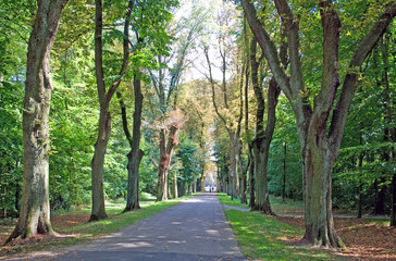 Allee zum Wasserschloss Nordkirchen (Münsterland)